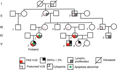 Case Report: A Novel Pathogenic Missense Mutation in FAS: A Multi-Generational Case Series of Autoimmune Lymphoproliferative Syndrome